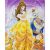 Beauty and the Beast Medley 40x50cm