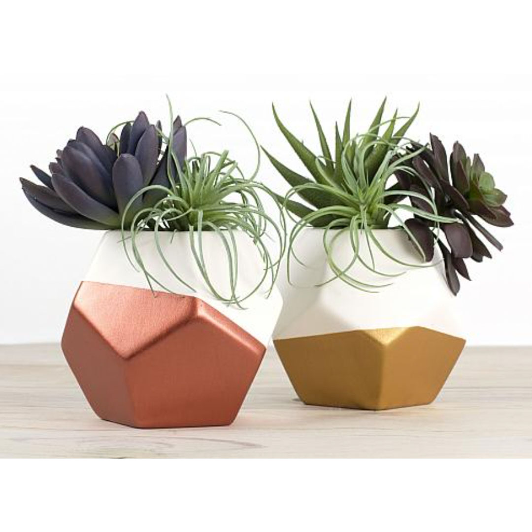 Extreme Sheen_0062_4