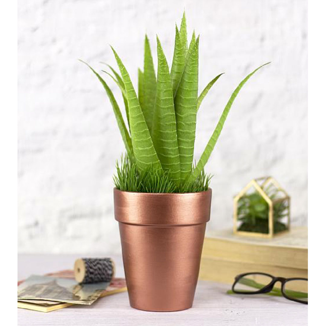 Extreme Sheen_0064_2