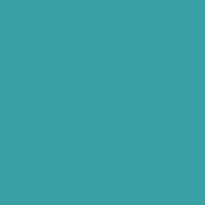 Desert Turquoise
