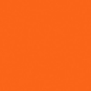 Cadmium Orange Hue