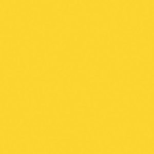 Cadmium Yellow Hue