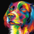 6438 Colourful Dog